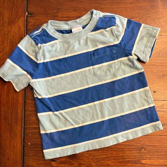 Hanna Andersson 2pc Striped Blue and Green Kids T-Shirts Sz 3T - Picture 5 of 6